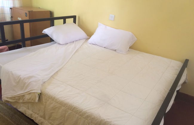 Acacia Tree Apartments - Photo 3