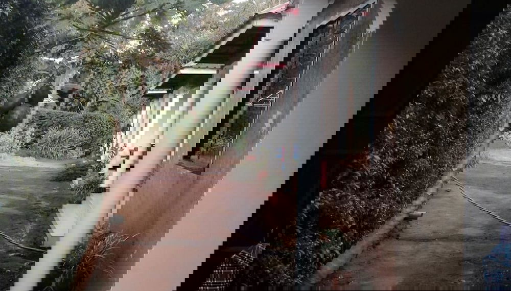 Imagem principal