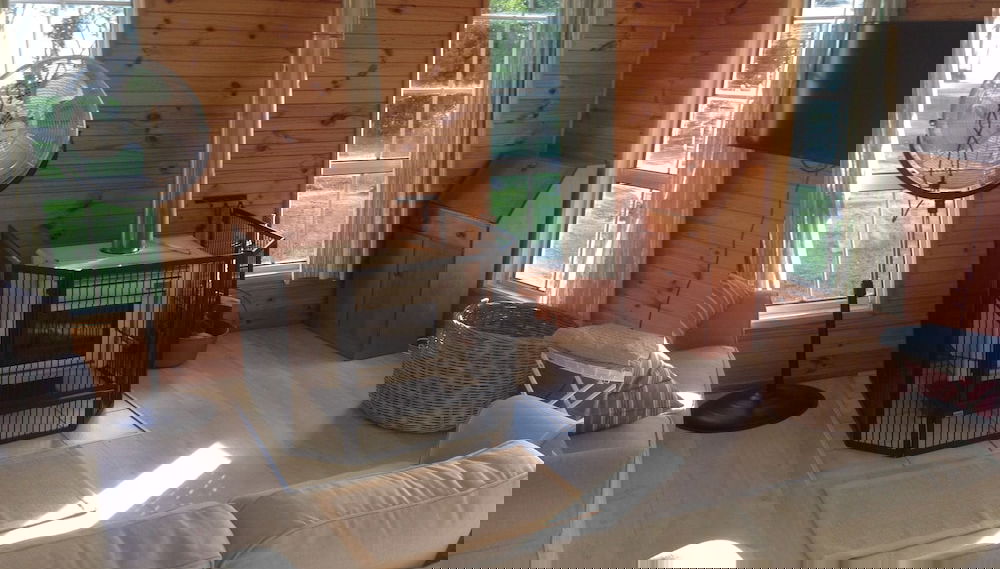 Primary image