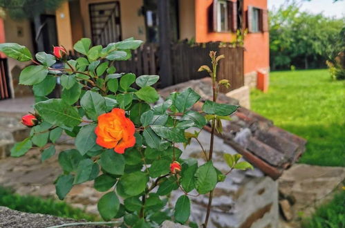 Photo 34 - Cozy 1 Bed Cottage in Ognen, Near Karnobat, Burgas