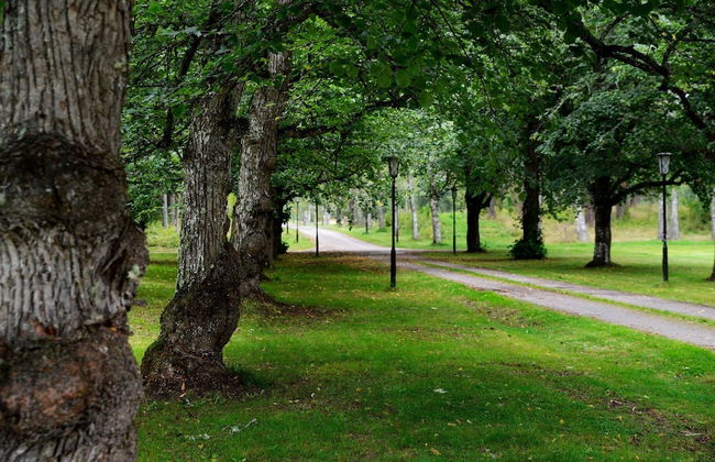 Risberg Herrgård - Foto 14