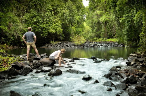 Photo 18 - Sharlynn by the River