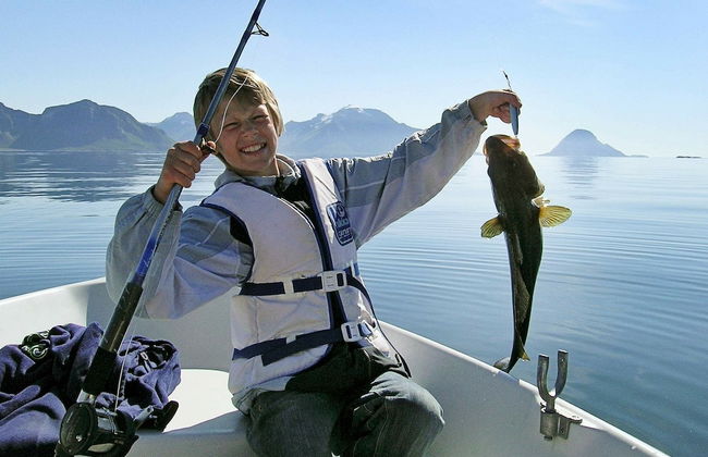 Holiday Home in Gravdal - Photo 15