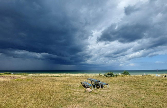 8 Person Holiday Home in Allingabro-by Traum - Foto 16