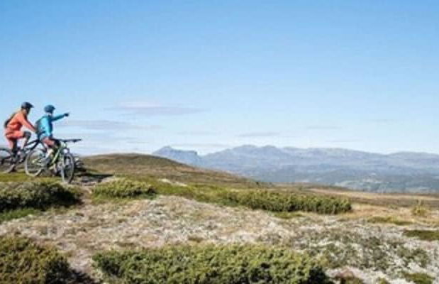 Topcamp Hallingdal - Ål - Foto 44