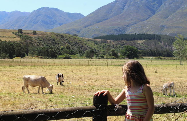 Arumvale Country House - Photo 39