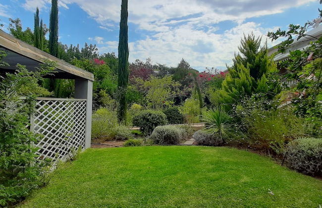 Abigails Garden Cottage - Photo 42