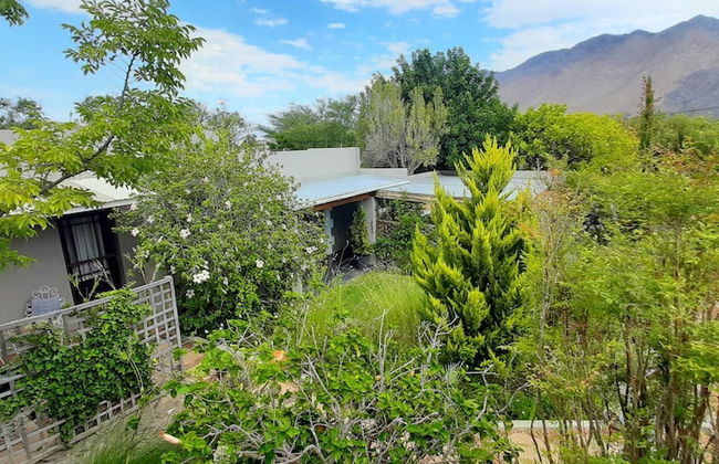 Abigails Garden Cottage - Photo 43