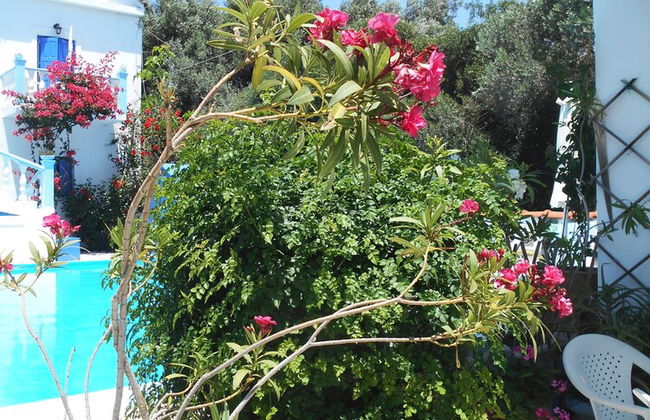 Meltemia Studio Samos Only 200 Metres From Aegean Sea - Foto 9