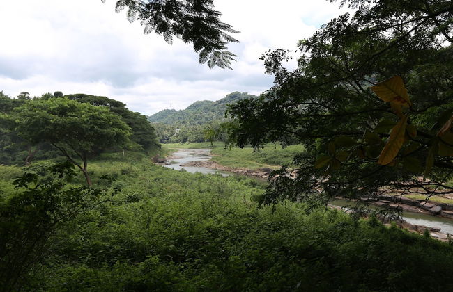 Riverside Homestay Apartments - Photo 22