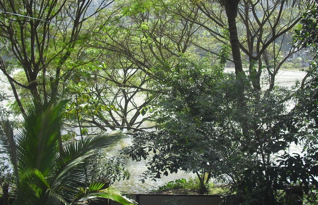 Riverside Homestay Apartments - Photo 20