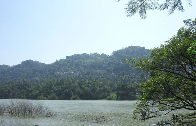 Riverside Homestay Apartments - Photo 19