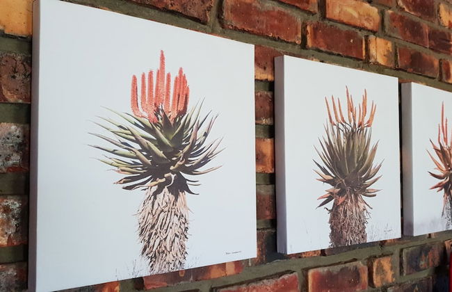 de Pakhuys - Photo 70