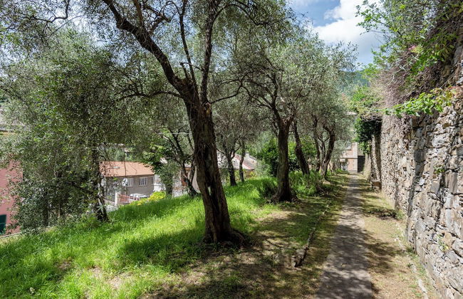 Salvia House In Mulinetti - Foto 20