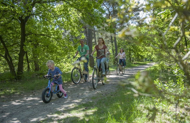 Forest Trails & Swimming Fun - Foto 34