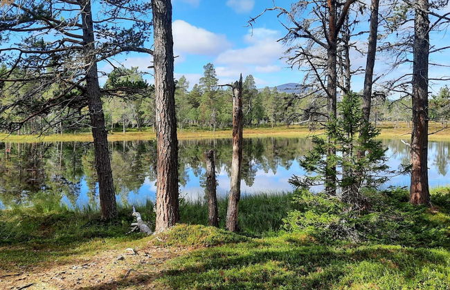 3 Person Holiday Home in Svenstavik - Foto 15
