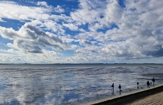 Holiday Home in Scherpenisse Near the Sea - Foto 27