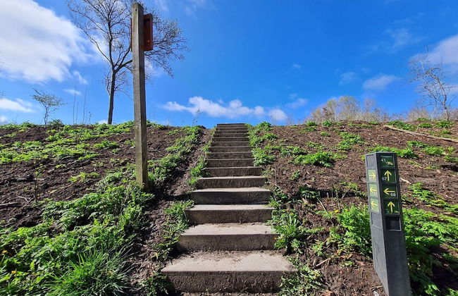 Holiday Home in Scherpenisse Near the Sea - Foto 21