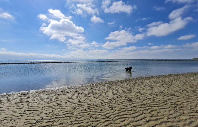 Holiday Home in Scherpenisse Near the Sea - Foto 25