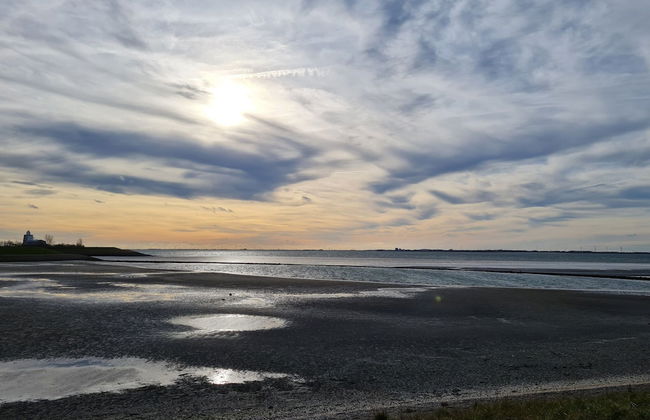 Holiday Home in Scherpenisse Near the Sea - Foto 30