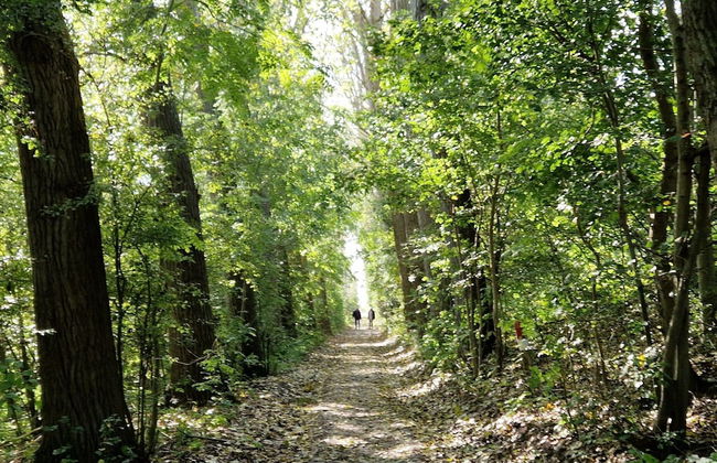 Holiday Home in Scherpenisse Near the Sea - Foto 23