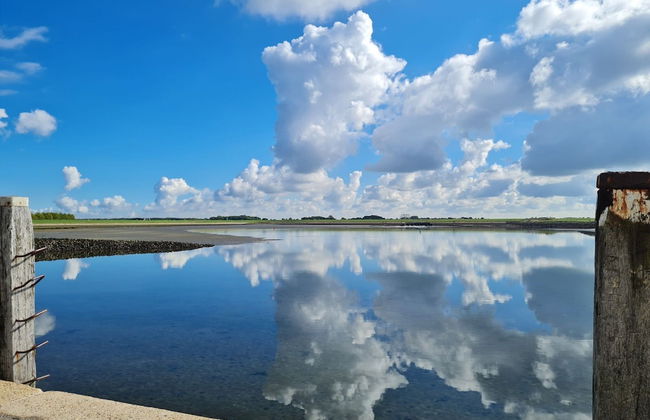 Holiday Home in Scherpenisse Near the Sea - Foto 29