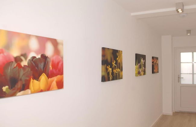 House Flora, Golden Knoepke - Foto 12