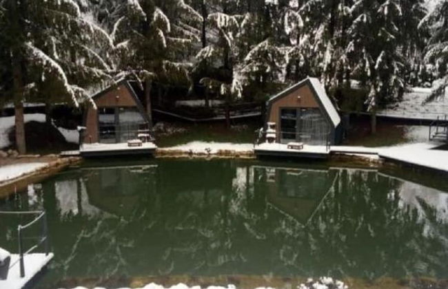 Holiday Home Snow Hill With Swimming Pool - Foto 7