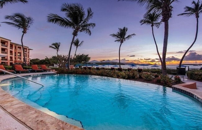 Ritz Carlton - Photo 19