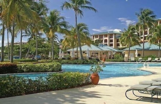 Ritz Carlton - Photo 22