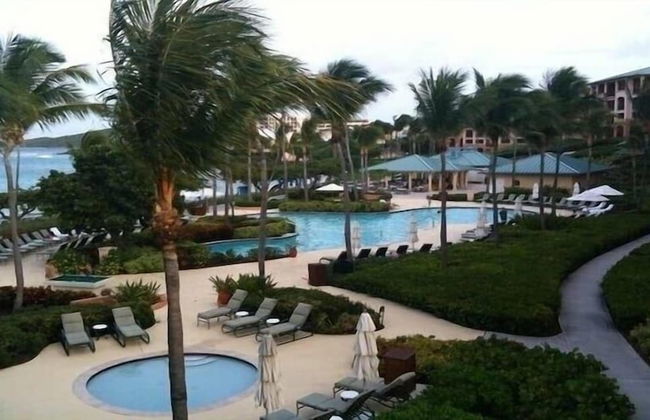 Ritz Carlton - Photo 12