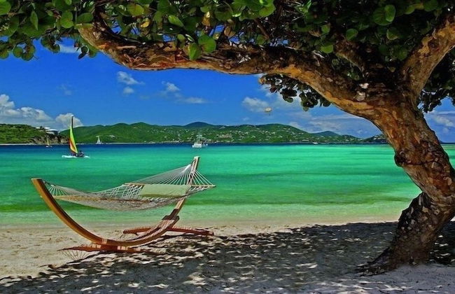 Ritz Carlton - Photo 41