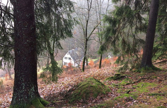 Holiday Home Waldhaus am Burbach - Foto 13