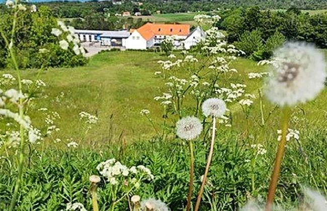 6 Person Holiday Home in Vig - Foto 22