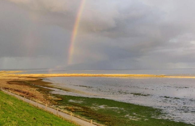Traditional Villa With two Bathrooms on Texel Near the Sea - Foto 40
