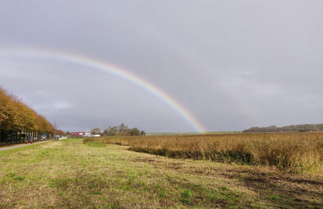 Traditional Villa With two Bathrooms on Texel Near the Sea - Foto 26