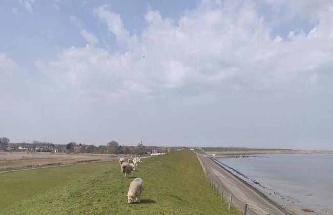 Traditional Villa With two Bathrooms on Texel Near the Sea - Foto 27