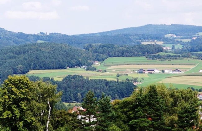 Ferienwohnung im Bayerischen Wald mit Terrasse - Foto 32