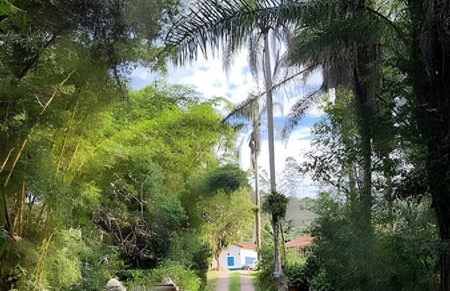 Cottages Bem-te-Vi e Beija-Flor, Mata Atlântica, Pesca, Natureza - Foto 80