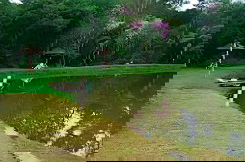 Photo 80 - Cottages Bem-te-Vi e Beija-Flor, Mata Atlântica, Pesca, Natureza