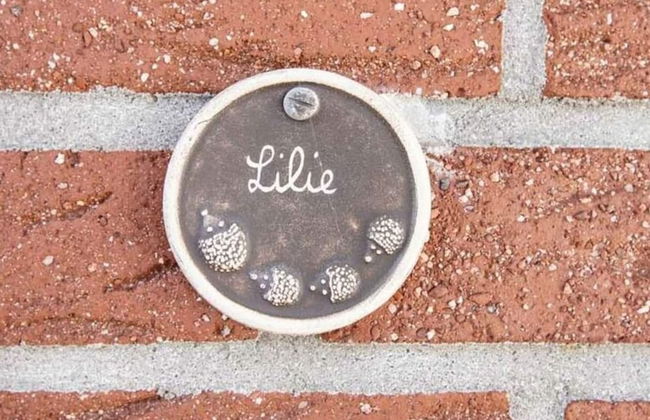 Holiday Home - Beckmann-visser 3 - Foto 13