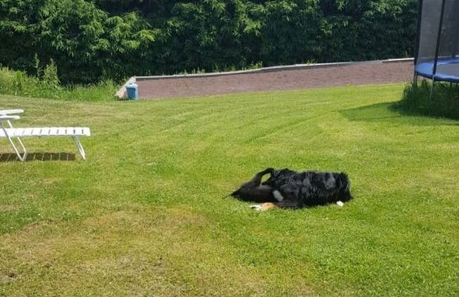 Vakantie in het Dorp - Foto 21