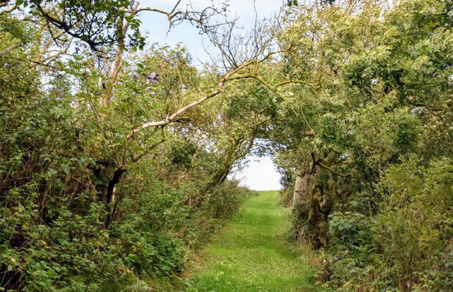 5 Person Holiday Home in Thyholm - Foto 17