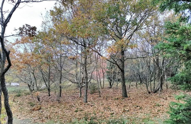 5 Person Holiday Home in Thyholm - Foto 22