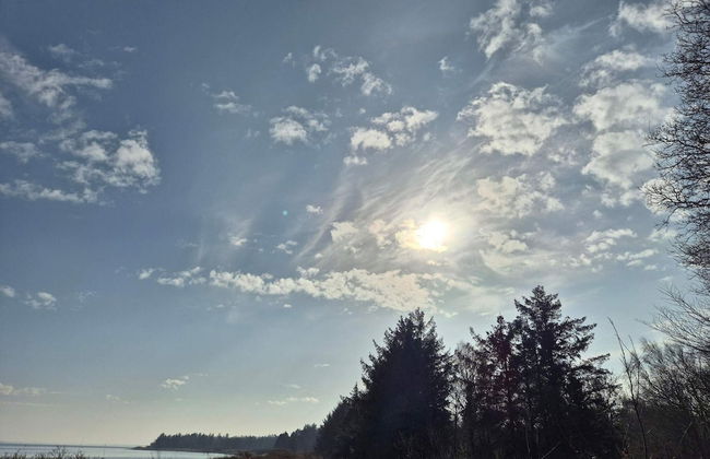 5 Person Holiday Home in Thyholm - Foto 23