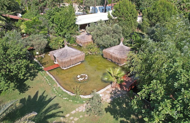 Luna Dorada Hotel - Foto 49