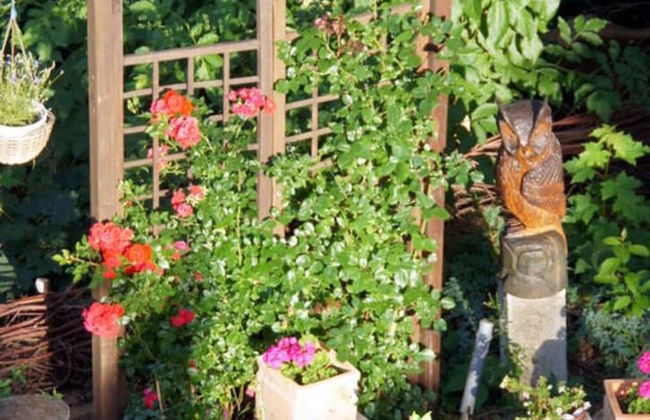 Nice Apartment in the Saarland - Foto 17