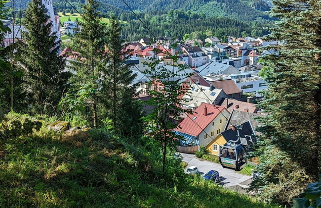 Apartment in Mariazell Near Ski Slopes - Foto 29