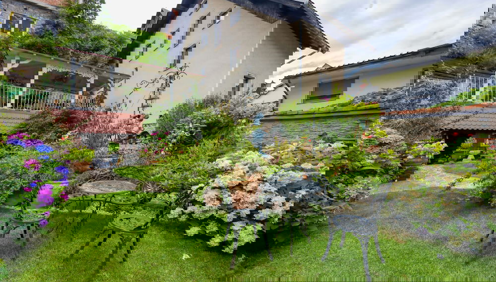 Imagem principal