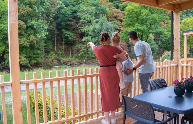 Modern Chalet With Dishwasher, in a Holiday Park, in a Natural Environment - Foto 32